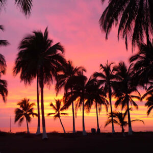 Oporto - Noviembre 2025 - Viernes 7 / Domingo 16